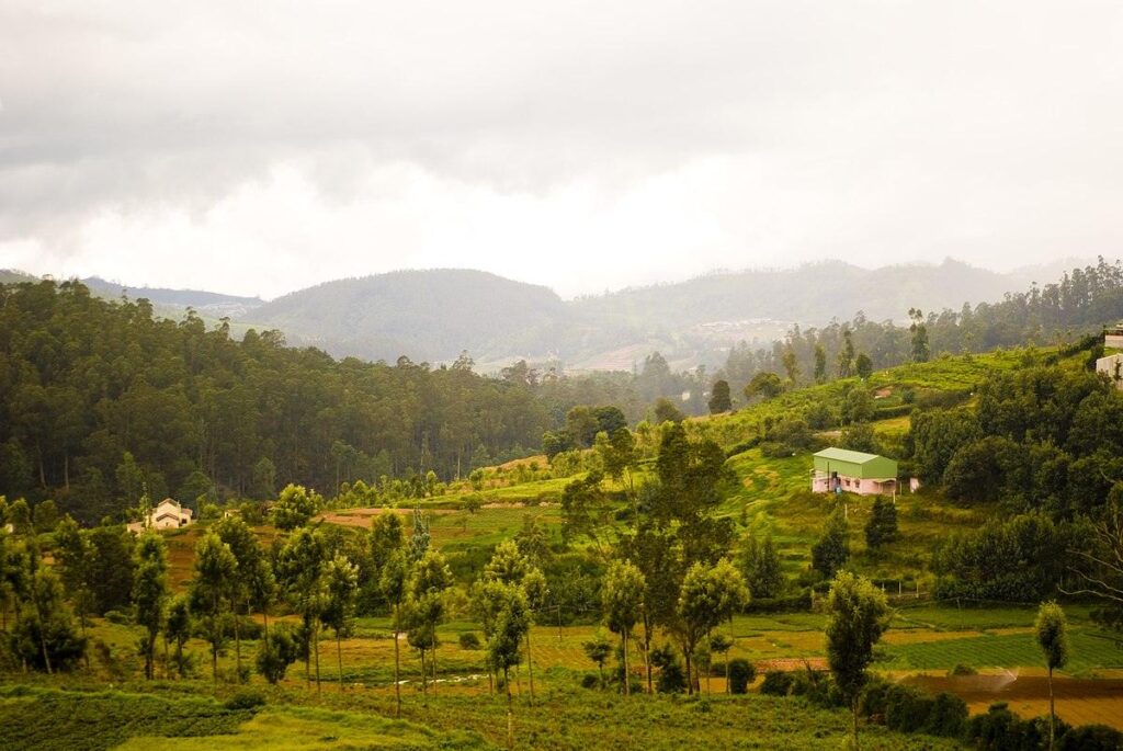 Nilgiri Berge